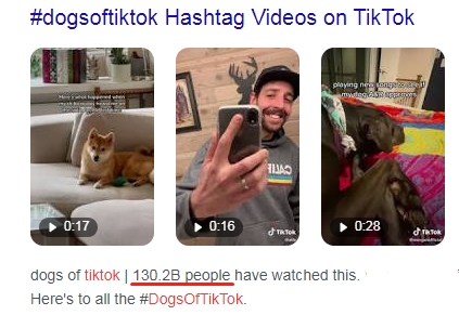 萌寵市場如火如荼，TikTok電商賣家該如何玩好“它經(jīng)濟(jì)”？