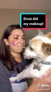 萌寵市場如火如荼，TikTok電商賣家該如何玩好“它經(jīng)濟(jì)”？