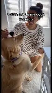 萌寵市場如火如荼，TikTok電商賣家該如何玩好“它經(jīng)濟(jì)”？