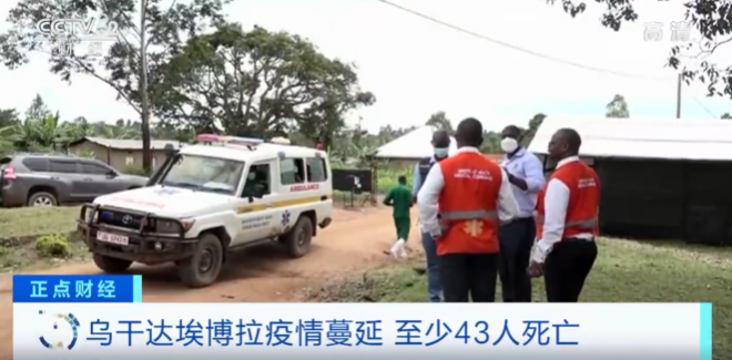 緊急！23人感染！這里暴發(fā)疫情，已致43人死亡！