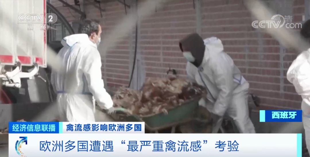 警報拉響！法國，荷蘭、西班牙、英國、日本......