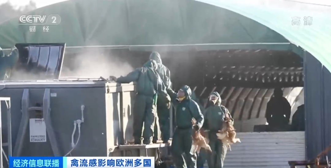 警報拉響！法國，荷蘭、西班牙、英國、日本......