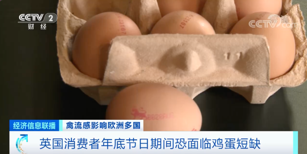 警報拉響！法國，荷蘭、西班牙、英國、日本......