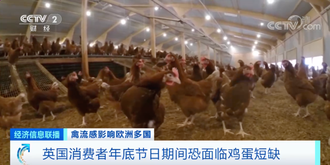 警報拉響！法國，荷蘭、西班牙、英國、日本......