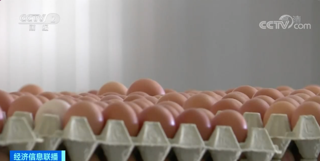 警報拉響！法國，荷蘭、西班牙、英國、日本......