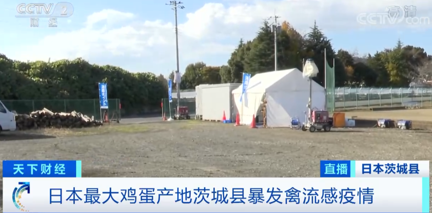 警報拉響！法國，荷蘭、西班牙、英國、日本......