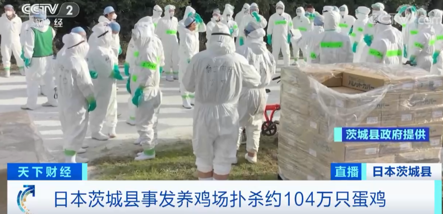 警報拉響！法國，荷蘭、西班牙、英國、日本......