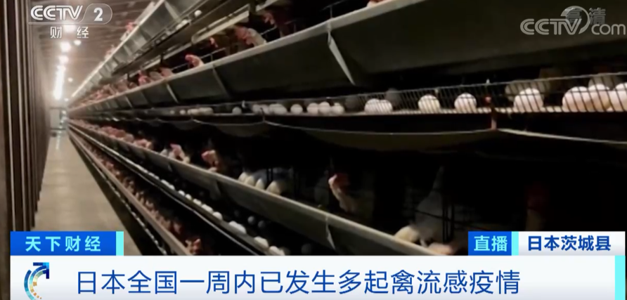 警報拉響！法國，荷蘭、西班牙、英國、日本......