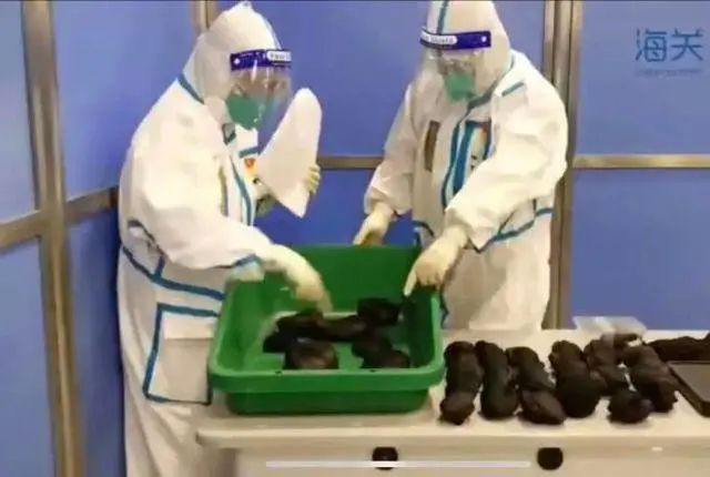 可怕！出貨的集裝箱運了一具女尸，從美國到中國......