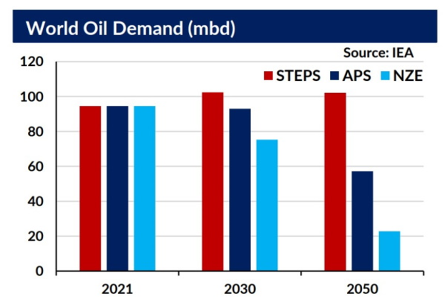 關注COP27：石油需求峰值會否延遲？