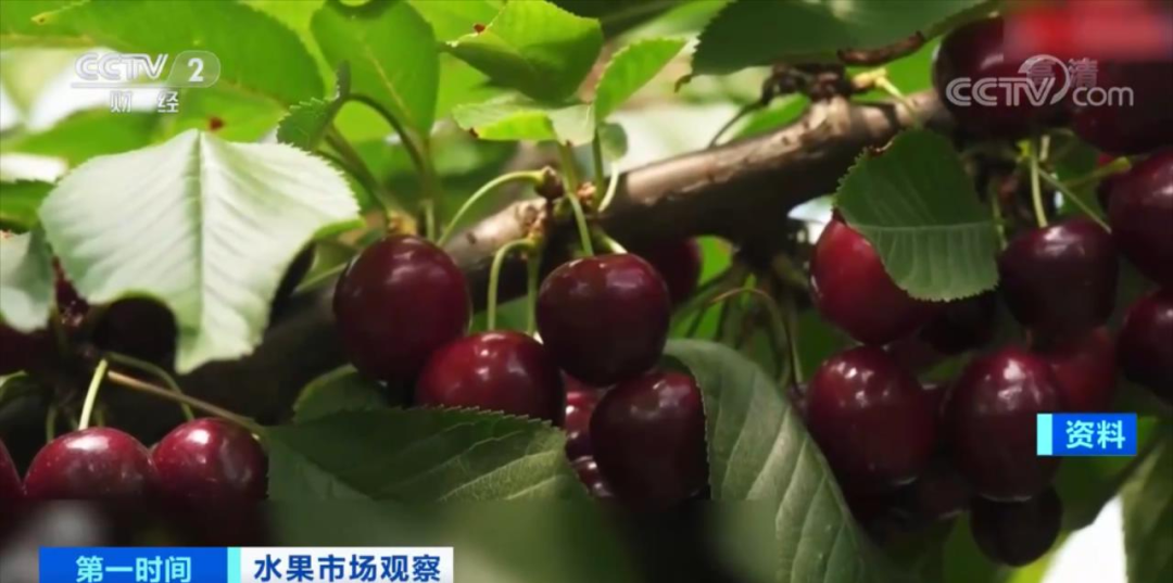 碼頭全是貨！再過十天，這個產(chǎn)品將大降價？