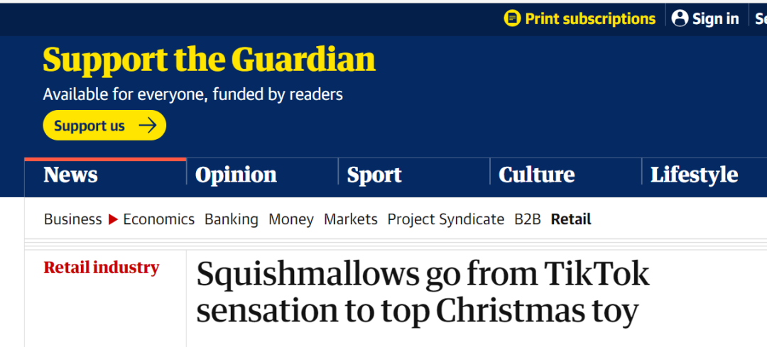 爆紅TikTok ！由一款抱枕掀起的玩具收藏潮