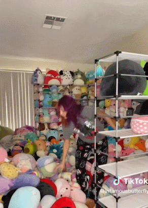 爆紅TikTok ！由一款抱枕掀起的玩具收藏潮