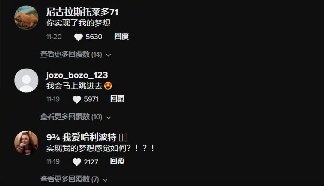 爆紅TikTok ！由一款抱枕掀起的玩具收藏潮