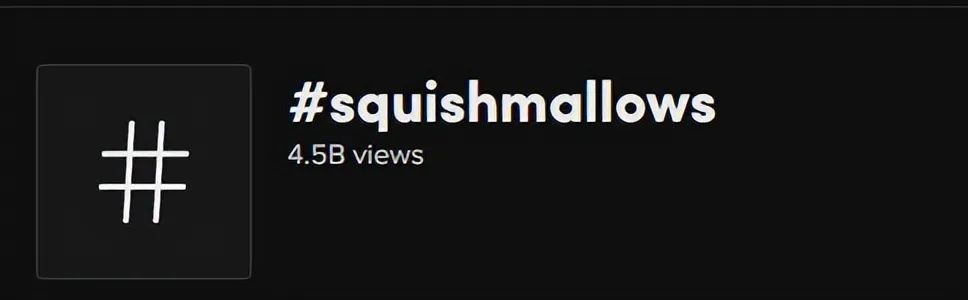 爆紅TikTok ！由一款抱枕掀起的玩具收藏潮