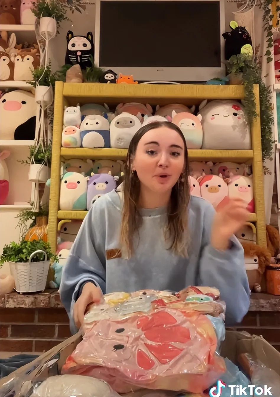 爆紅TikTok ！由一款抱枕掀起的玩具收藏潮