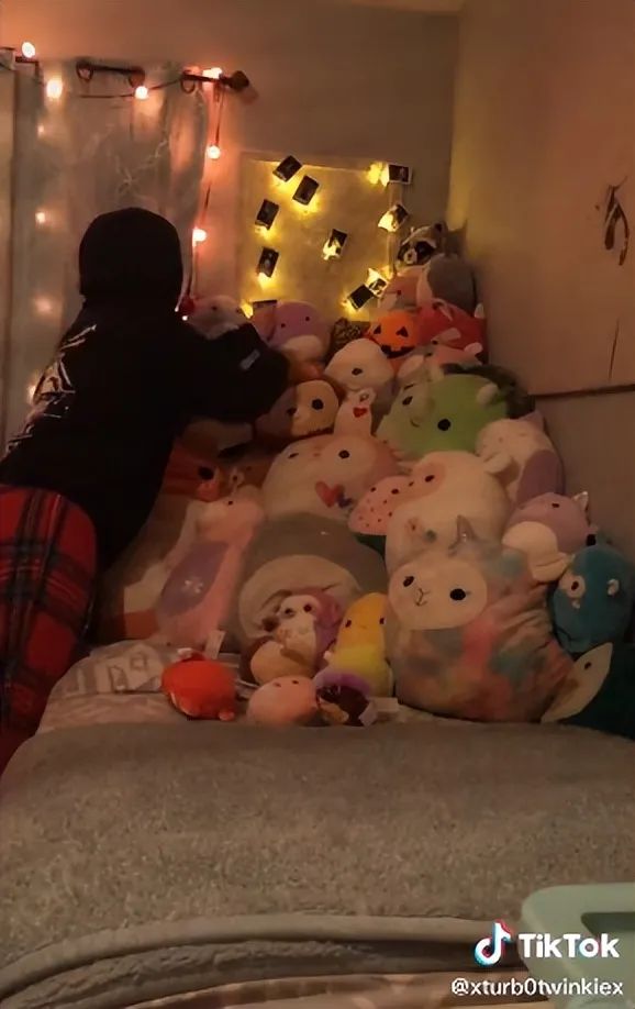 爆紅TikTok ！由一款抱枕掀起的玩具收藏潮