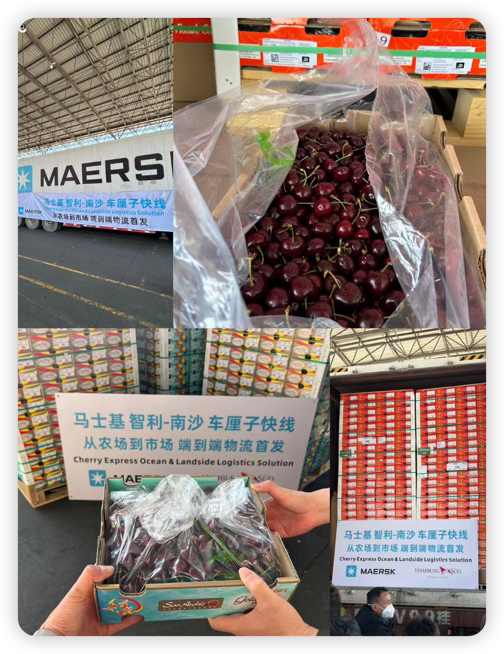 37000TEU車(chē)?yán)遄?，都去了哪個(gè)港 ？