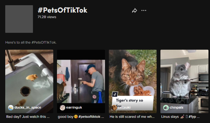 搜索熱度高出峰值169%！TikTok情人節(jié)爆品大預(yù)測