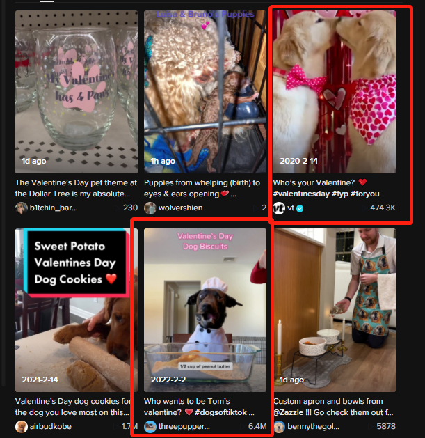 搜索熱度高出峰值169%！TikTok情人節(jié)爆品大預(yù)測