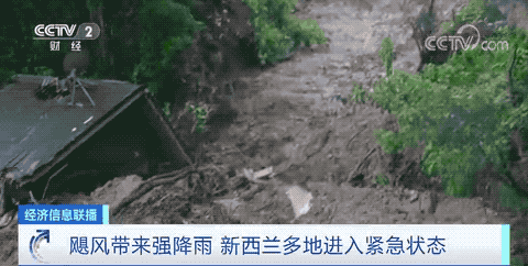 預(yù)警！取消所有客運航班和列車