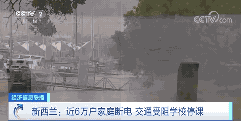 預(yù)警！取消所有客運航班和列車