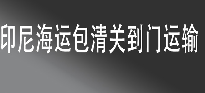  中國至印度尼西亞全鏈條物流服務(wù)：安全、高效、一站式解決方案