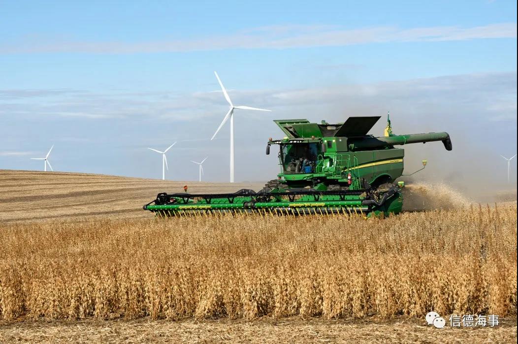 中國對糧食、谷物需求巨大，干散貨船舶市場將迎來利好！  