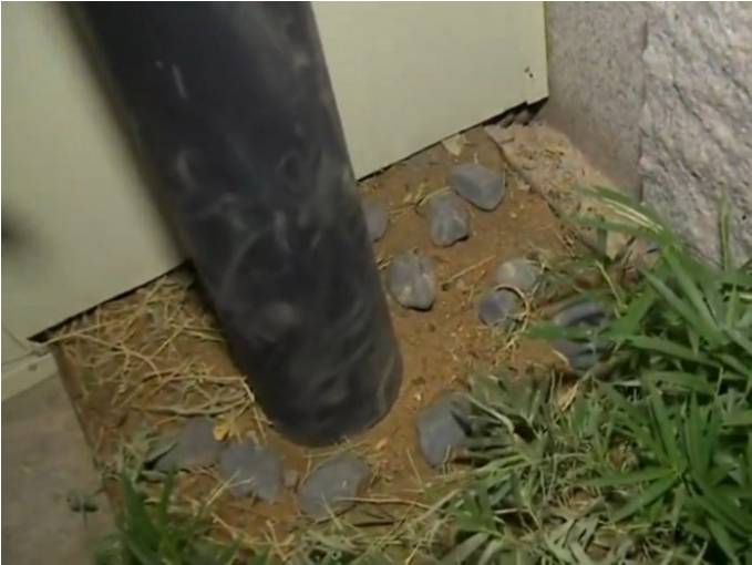 警示！一印尼船員隔離期“大逃亡”，被判8個月！