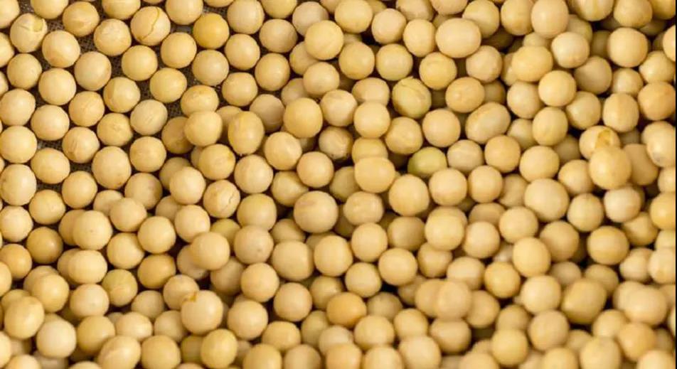 中國去年糧食進(jìn)口1.4億噸 成國際干散貨市場新亮點