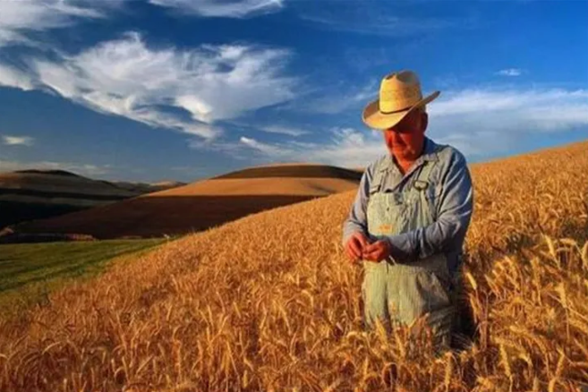 中國(guó)自美進(jìn)口農(nóng)產(chǎn)品大漲67%！豬肉增長(zhǎng)223.8%、大豆增長(zhǎng)56.3%……