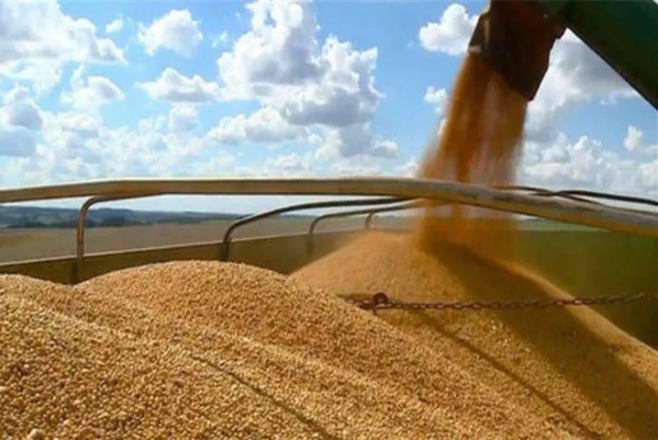 中國(guó)自美進(jìn)口農(nóng)產(chǎn)品大漲67%！豬肉增長(zhǎng)223.8%、大豆增長(zhǎng)56.3%……