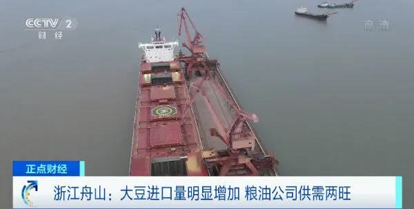 舟山大豆進(jìn)口量明顯增加 糧油公司供需兩旺 