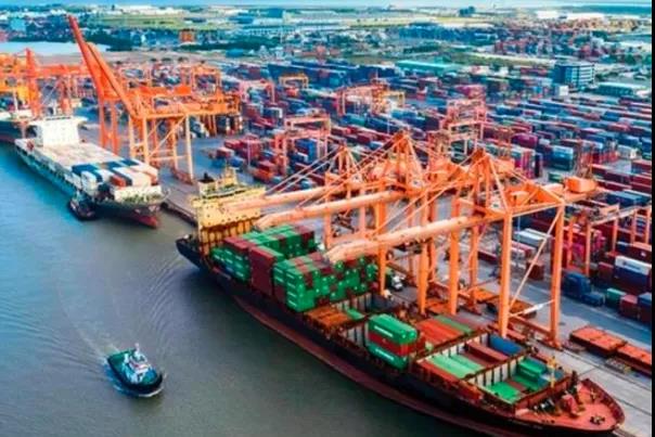 面對高企運價，又一國家對船公司出手了！