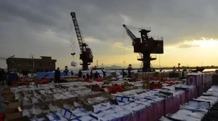 浙江查獲一起4700余萬元特大海運假私煙案