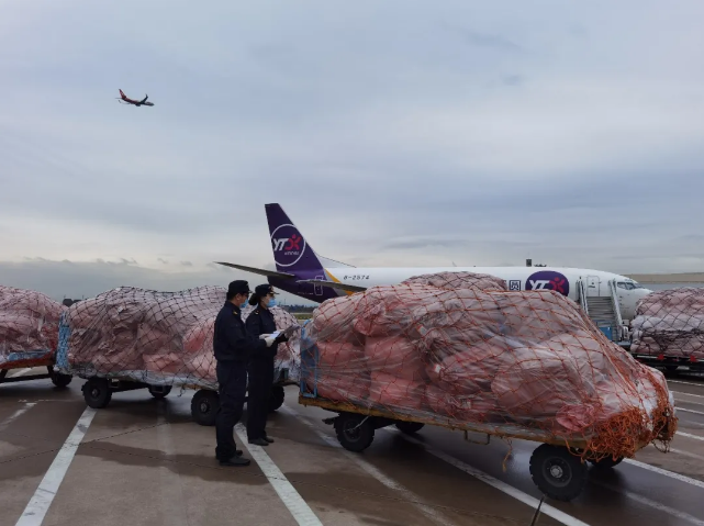 同比增長63.3%，跨境電商增長迅猛