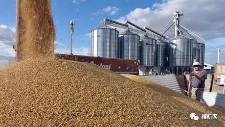 阿根廷碼頭罷工，162艘船裝運(yùn)受影響！