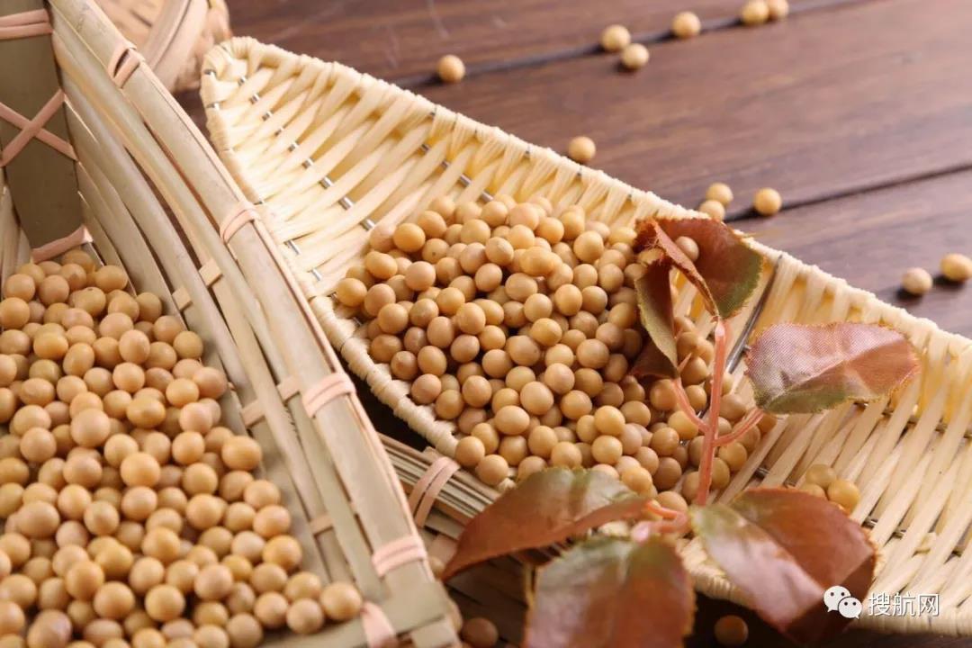 阿根廷碼頭罷工，162艘船裝運(yùn)受影響！