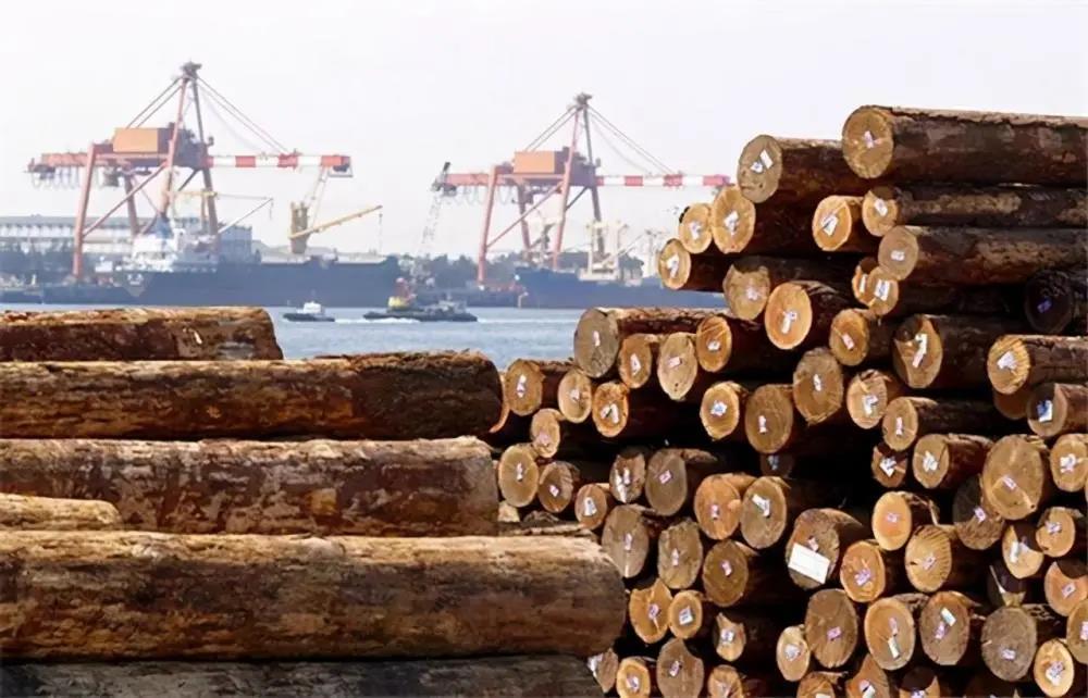 澳木材行業(yè)：沒有中國(guó)市場(chǎng)，給我7000萬澳元有啥用