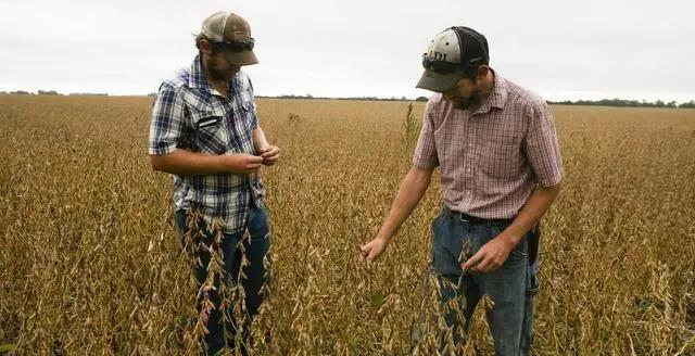 阿根廷100艘貨船禁運(yùn), 美國(guó)大豆船集體狂歡？