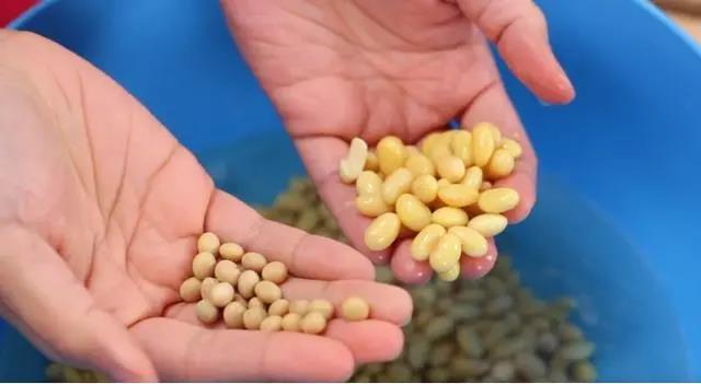 阿根廷100艘貨船禁運(yùn), 美國(guó)大豆船集體狂歡？