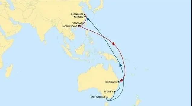 寧波上海香港鹽田直航澳洲，地中海航運推出全新大洋洲航線