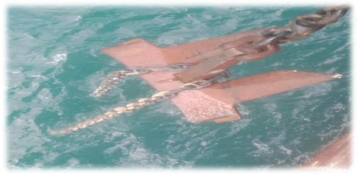 一個真實事件：優(yōu)秀的海員能為船東帶來巨大經(jīng)濟(jì)效益