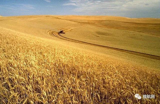 每月300箱量削減至3個，船公司暫停運(yùn)送美國農(nóng)產(chǎn)品遭FMC調(diào)查警告