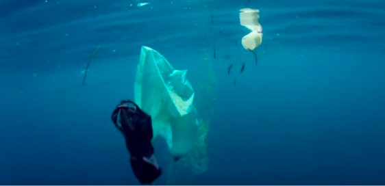 航運(yùn)組織：2021年底前，禁止一次性塑料