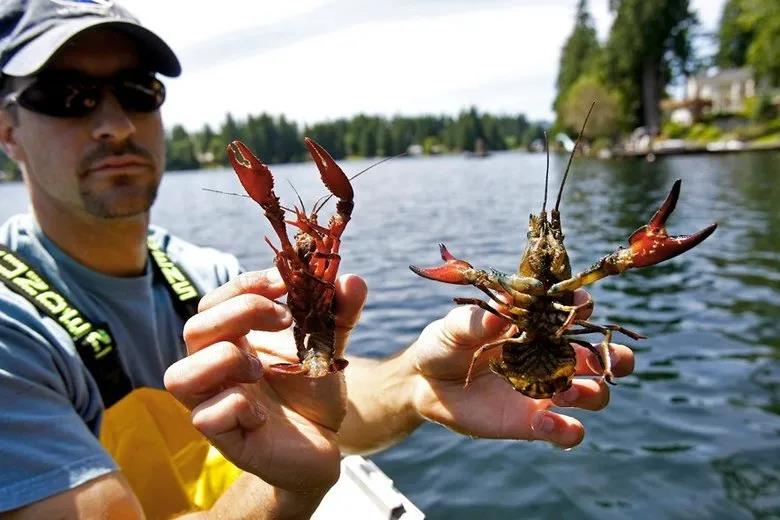 中澳貿(mào)易摩擦再升級(jí)！澳洲：要把中國(guó)告上WTO！中國(guó)：限制澳多個(gè)產(chǎn)業(yè)的進(jìn)口！