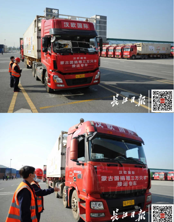 武漢10臺(tái)集裝箱冷鏈車出發(fā)，將接運(yùn)蒙古國(guó)捐贈(zèng)首批1.2萬(wàn)只羊