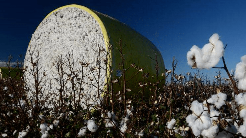 中澳貿(mào)易關(guān)系惡化！中國(guó)叫停澳洲煤炭進(jìn)口，限制澳棉配額，鐵礦石進(jìn)口明顯下降！