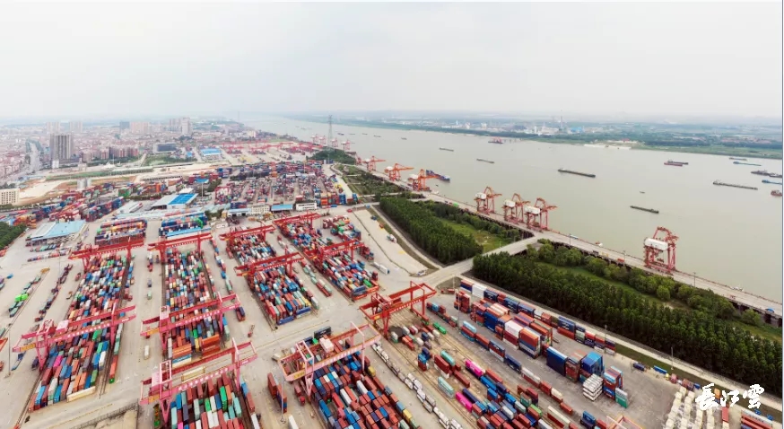 13.39萬標(biāo)箱！武港集團(tuán)集裝箱吞吐量再次刷新單月歷史紀(jì)錄